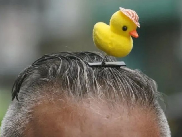 Un patito amarillo en la cabeza, la nueva moda que es viral